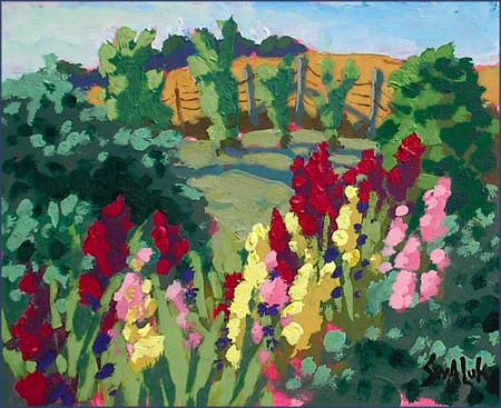 Gladiolus