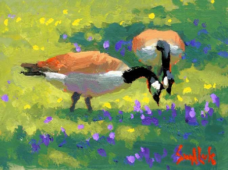 Geese