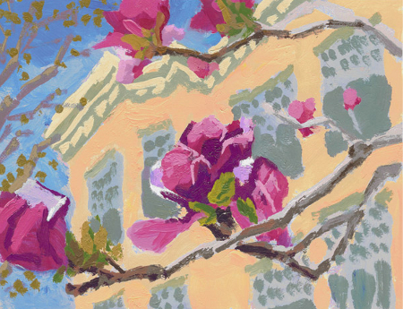 Magnolias