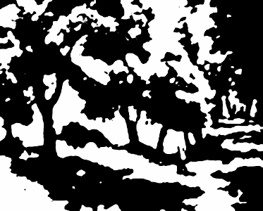 Niagara River in Black and White